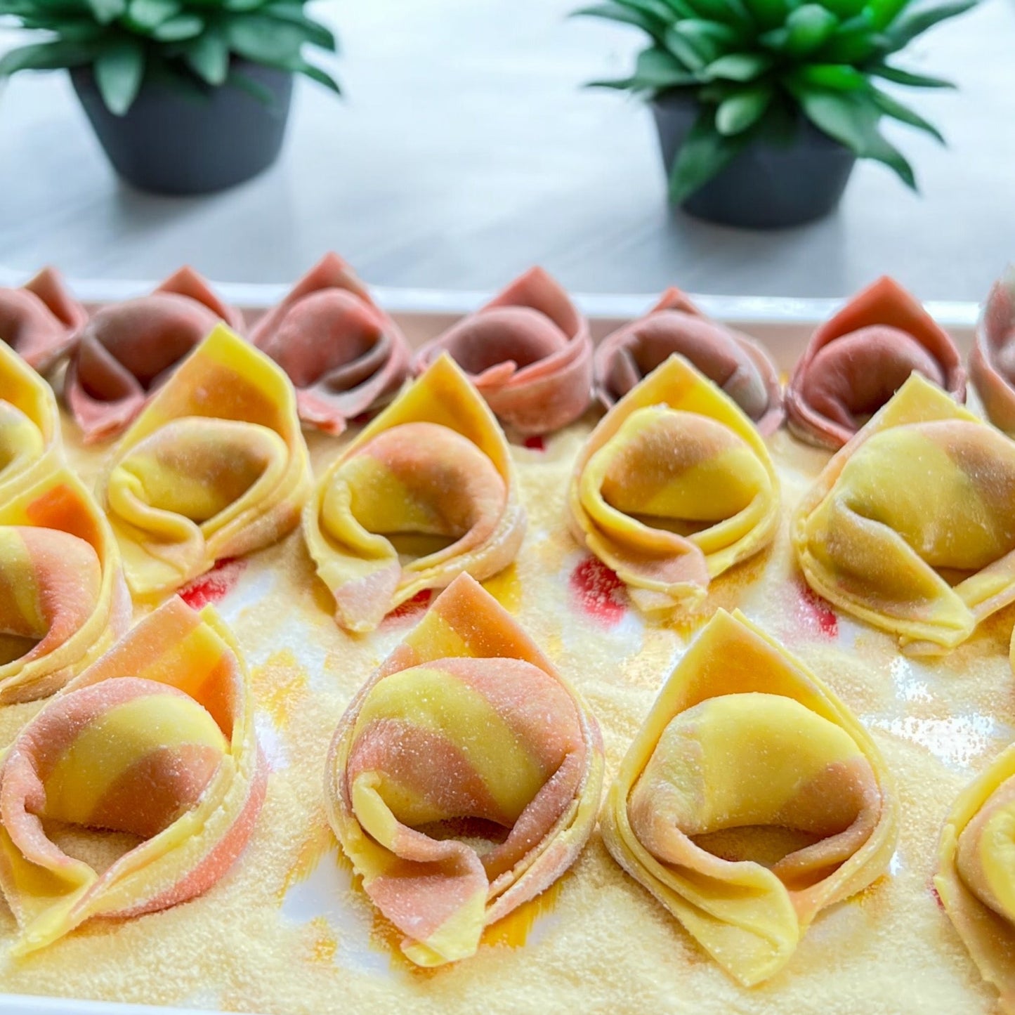 Tortelloni (Available in Shrimp & Chicken filling)