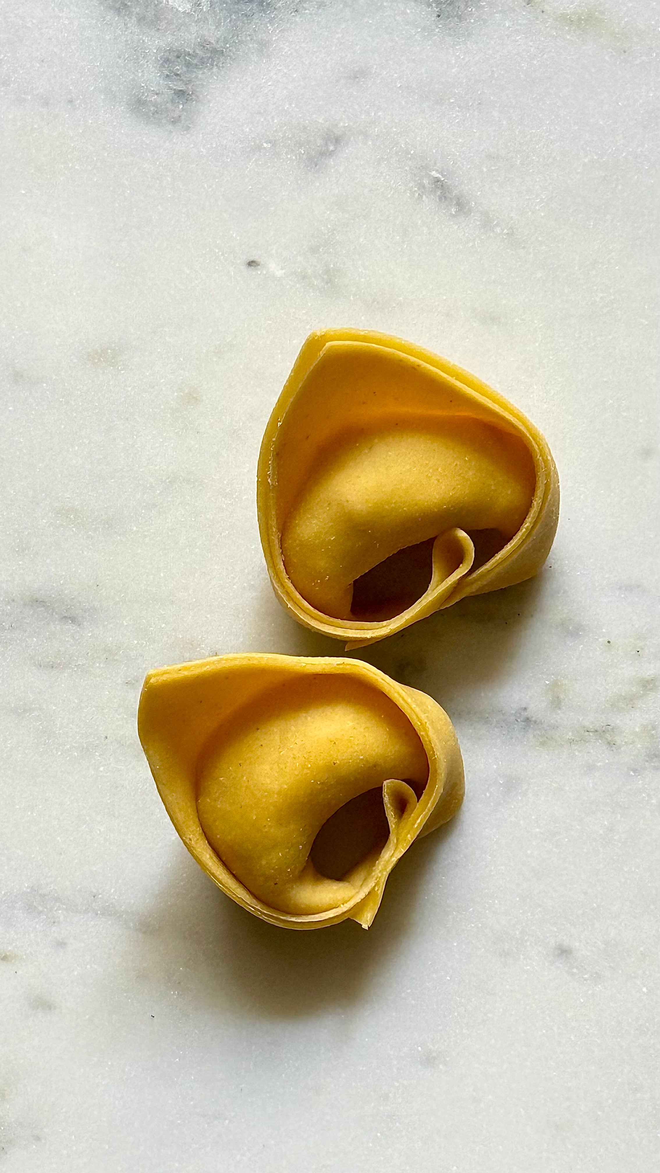 Shrimp Tortellini pasta